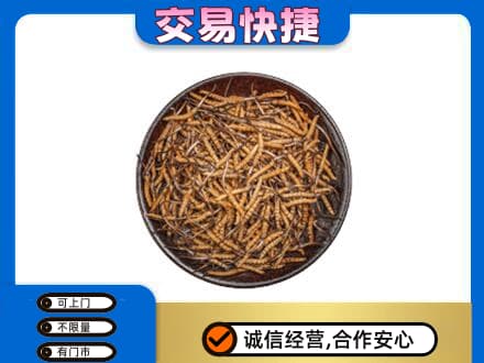 保定博野县礼品回收虫草.jpg